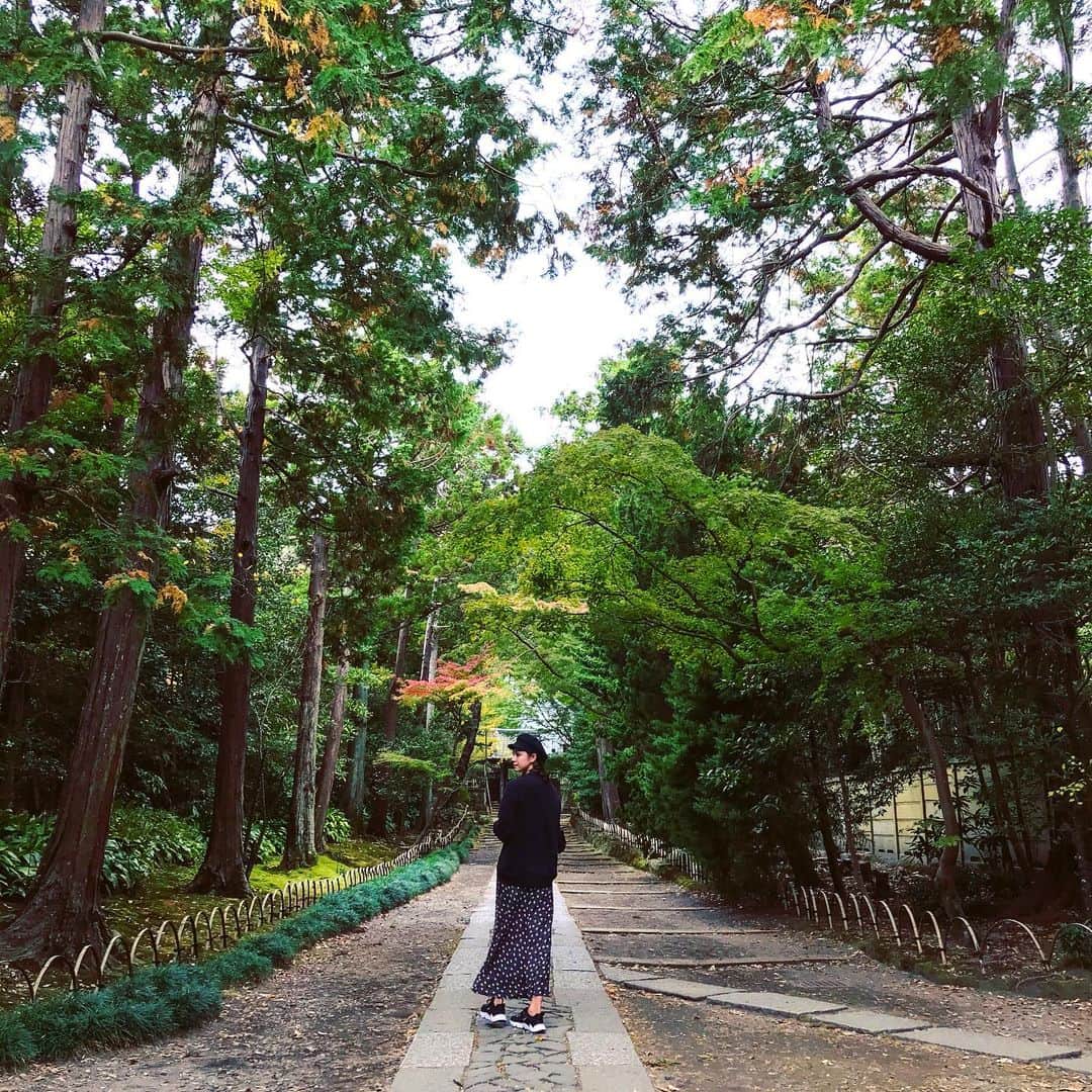 横山エリカのインスタグラム：「Found this beautiful place in Kamakura 🍂 鎌倉では葉が少し色付き始め、グラデーションが綺麗でした☺️🍁」