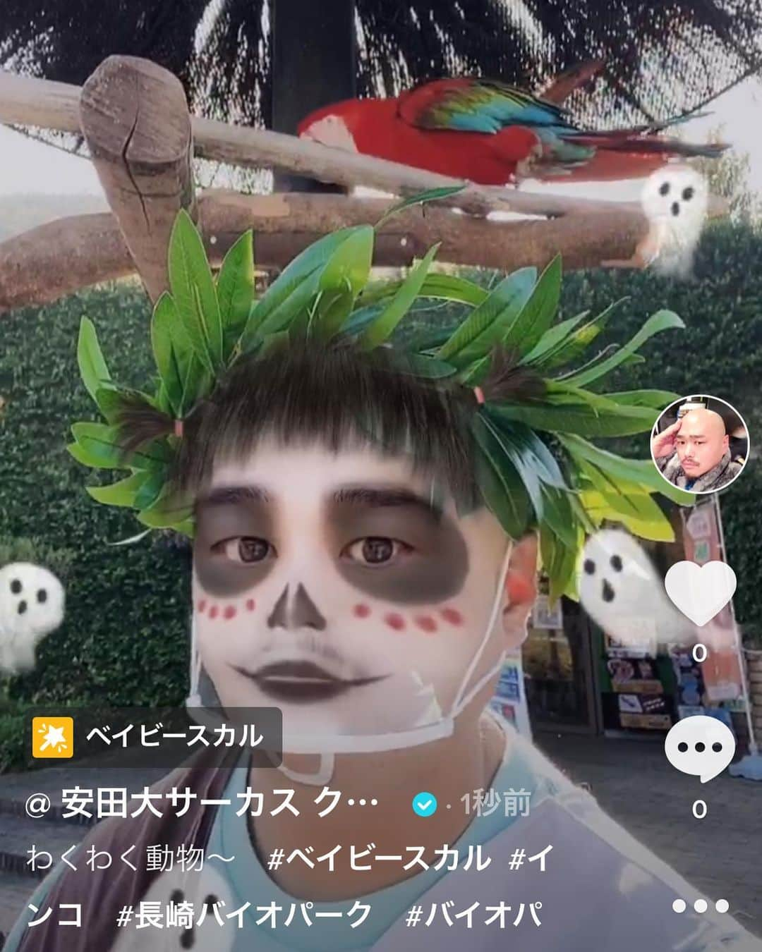 クロちゃんさんのインスタグラム写真 - (クロちゃんInstagram)「TikTok  わくわく動物 ↓ https://vt.tiktok.com/ZSqngU1k/  #TikTok  #クロちゃん　#可愛い #どっちも」11月20日 18時16分 - kurochandesuwawa