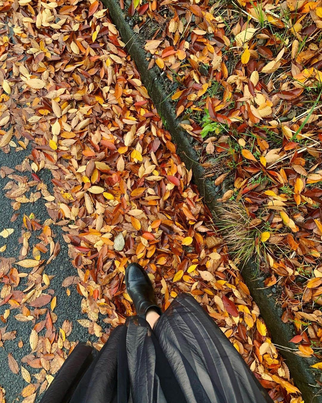 信長ゆかりさんのインスタグラム写真 - (信長ゆかりInstagram)「. いつの間にか、 地面が可愛い季節だよ。  💛🤎🧡  #お散歩#落ち葉  地面に目をやりながら、お散歩。 いつぶりだろーーー\(//∇//)\ 雨だけど、楽しかった！♡」11月20日 18時26分 - 03yu_kari30
