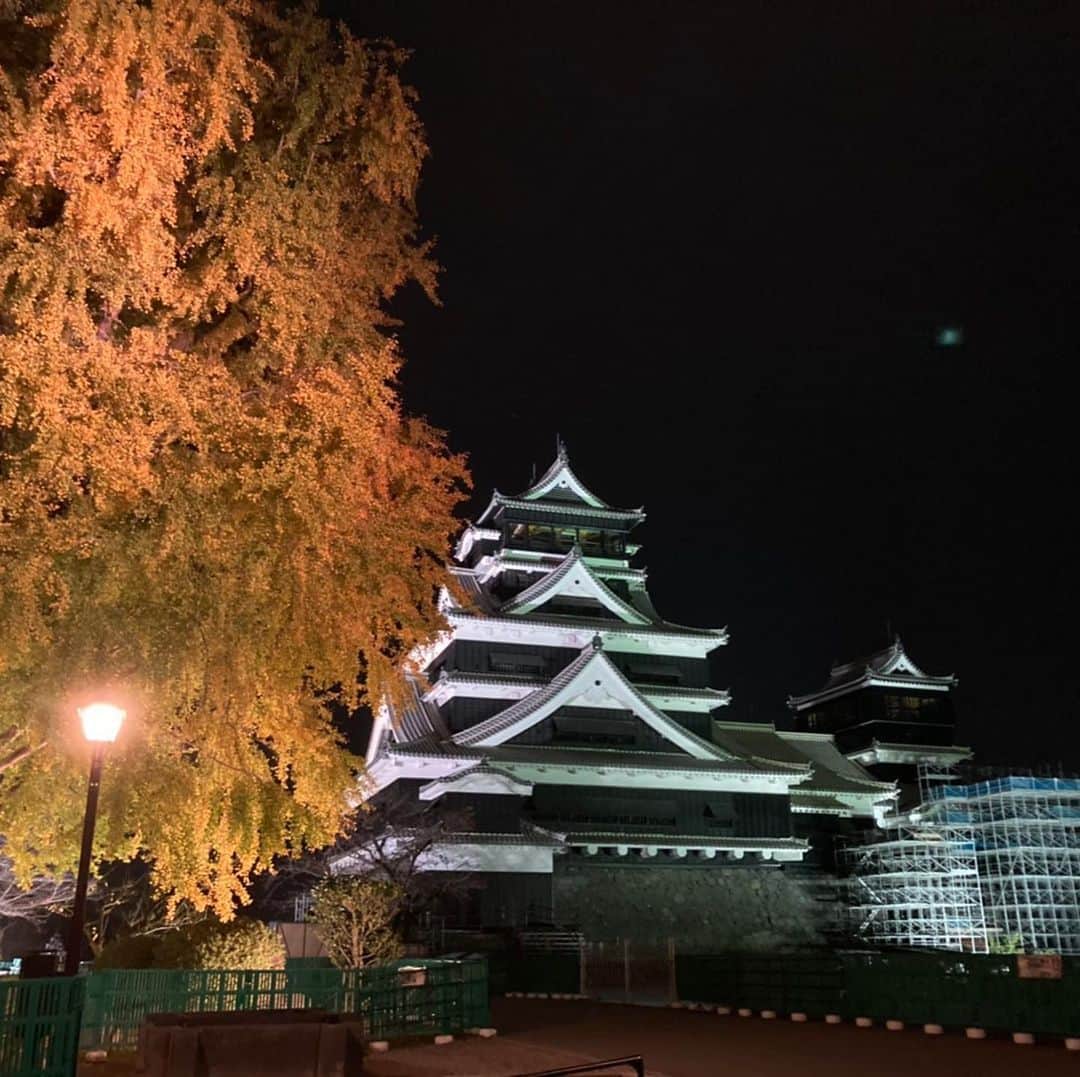 熊本城さんのインスタグラム写真 - (熊本城Instagram)「熊本城夜間公開「城あかり」開催中です。  #kumamoto #japan #japantrip #instagood #instagram #kumamotocastle」11月20日 18時29分 - kumamoto_castle