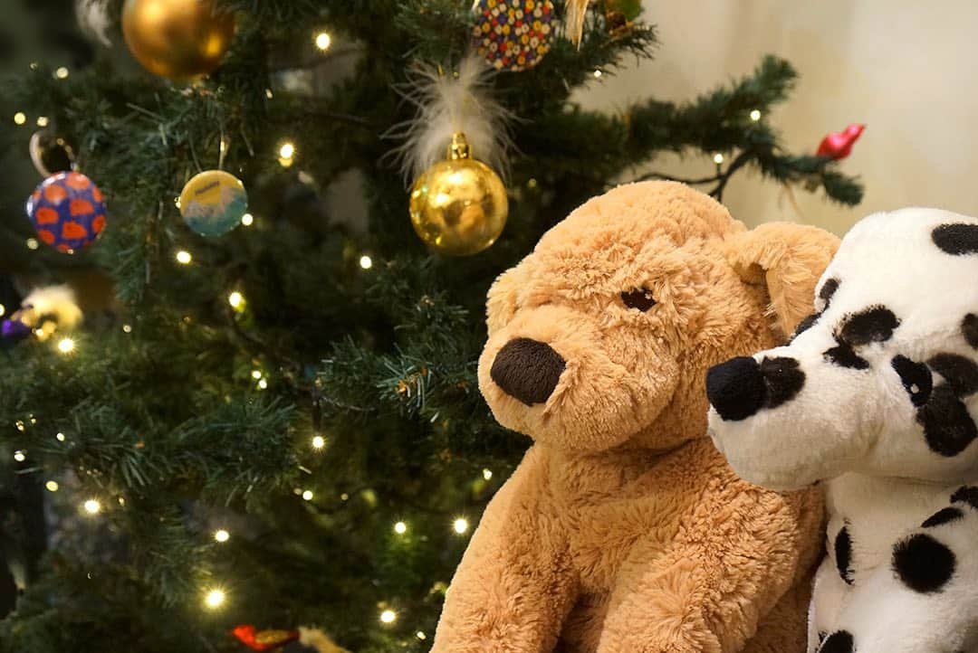marbleSUD(マーブルシュッド) のインスタグラム：「恵比寿本店のクリスマス🎄2匹のワンコがキラキラのツリーを見守っています。 クリスマスギフトをお探しの方、是非スタッフに相談くださいね！予算に合わせた素敵なギフトのご提案をさせていただきます🎁online shopでもギフト特集を掲載しております。こちらも合わせてチェックですよ🔴」
