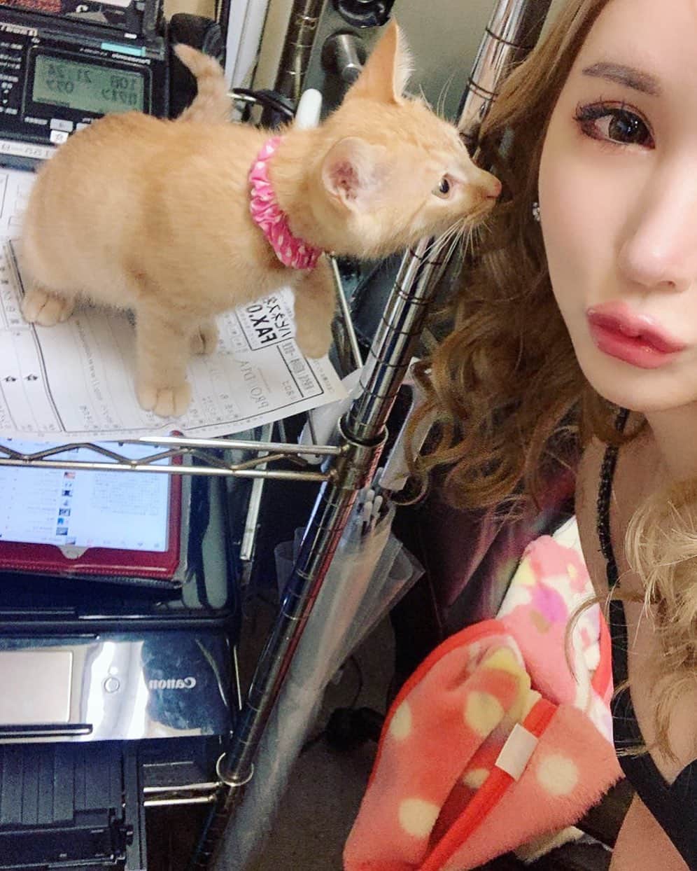 のインスタグラム：「baby💝🥺 . #キャバクラ#歌舞伎町#新宿#北新地#ミナミ #水商売#東京#名古屋#錦#錦3#中洲#すすきの #六本木#銀座#港区#お団子ヘア#ヘアメイク#ヘアセット #ホスト#水商売#アップヘア #ジム #トレーニング#ダイエッター #いいね#いいね返し#プラウディア」