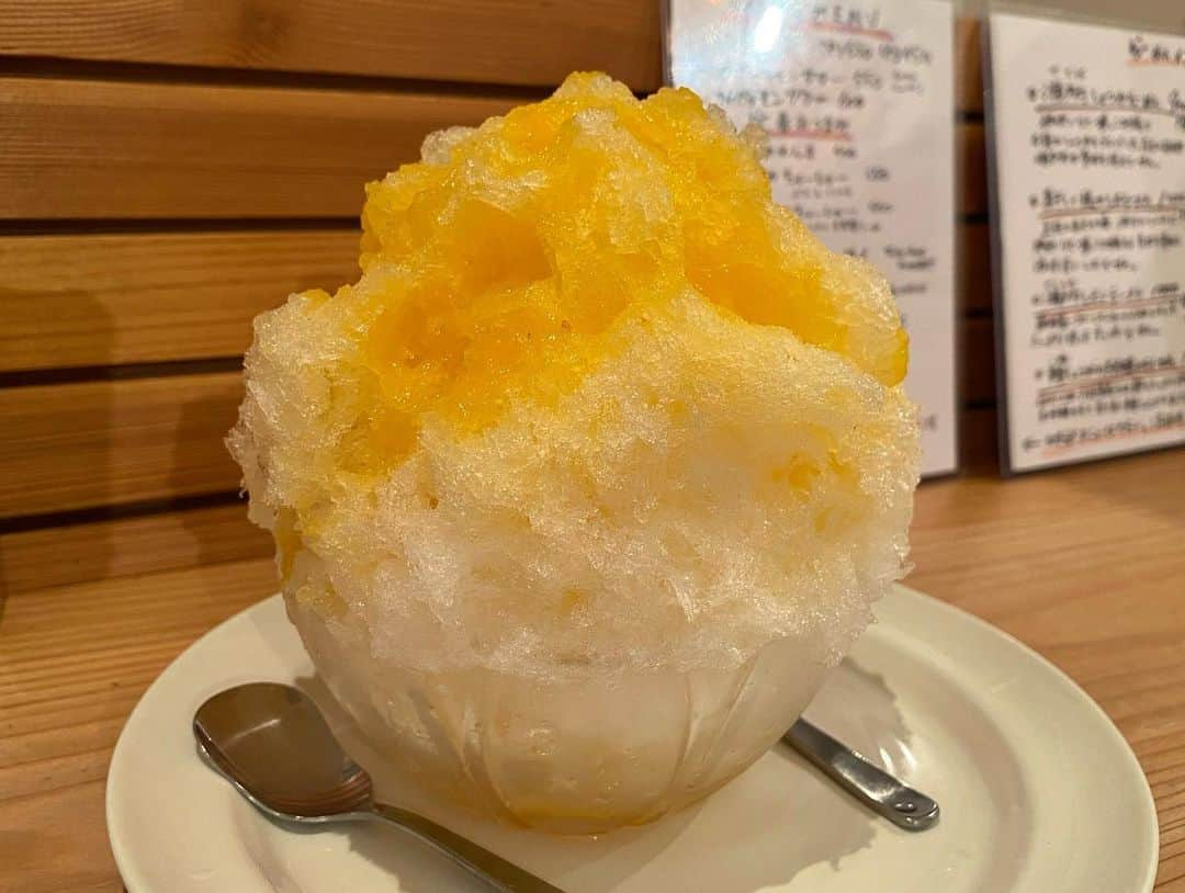 桃乃木かなさんのインスタグラム写真 - (桃乃木かなInstagram)「荻窪にある「ねいろ屋」さん🍧  ・白金豚のカレーライス ・白金豚の背脂らーめん ・ピスタチオミルクに女峰いちご ・北海道仙北さんのブラムリーミルク ・早摘みまどんな ・洋梨ミルク  私はカレーを、マネージャーさんがラーメンを頂きました！スパイスと果物と野菜と、色んな旨味のあるお洒落なカレーでした🍛 かき氷はメニューによって全然違う食べ応え！まどんなの苦みも中々食べる機会がないので癖になります！ブラムリーミルクの青りんごも珍しい爽やかな一杯でした😋 果物の良さを味わってる〜なかき氷で美味しかったです🍧🙌  #ねいろ屋 #荻窪 #かき氷 #らーめんとかき氷のお店」11月20日 19時04分 - kana_momonogi