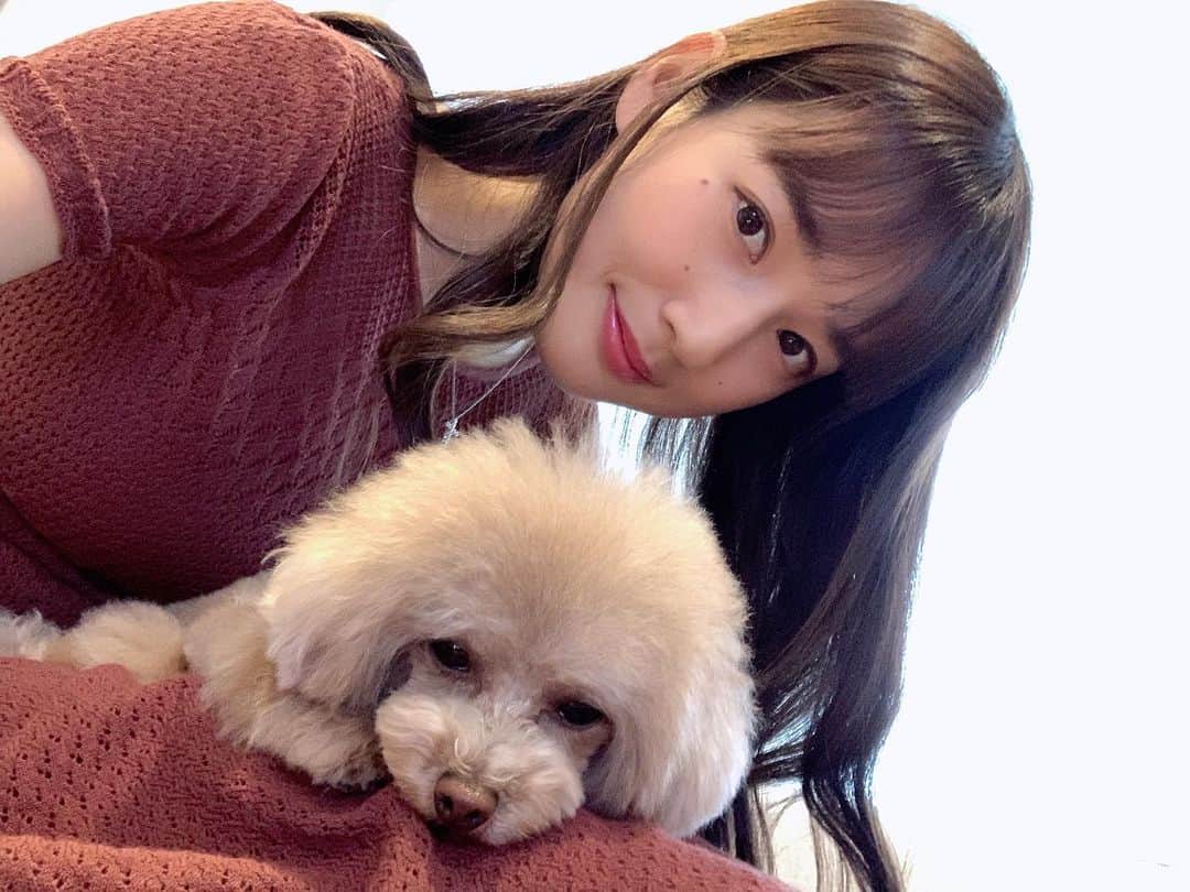 高嶋香帆のインスタグラム：「いっぬ🐶らぶ！  ごめんね、更新開きまして。  誰も気にしないかと思いきや、DM頂いたりと心配してくれた方ありがとうございます🙇‍♀️  SNSから離れてると、人と必要以上に比べる事がなく、とても自分の事に集中出来てすごくいい時間だなって思いました☺️  しかし世はSNS時代。 芸能系のお仕事は特に必要な分野だと重々承知しておりますゆえ、 マイペースにやって行きます🙆‍♀️  さて、今日の晩ご飯は何にしようかな！」