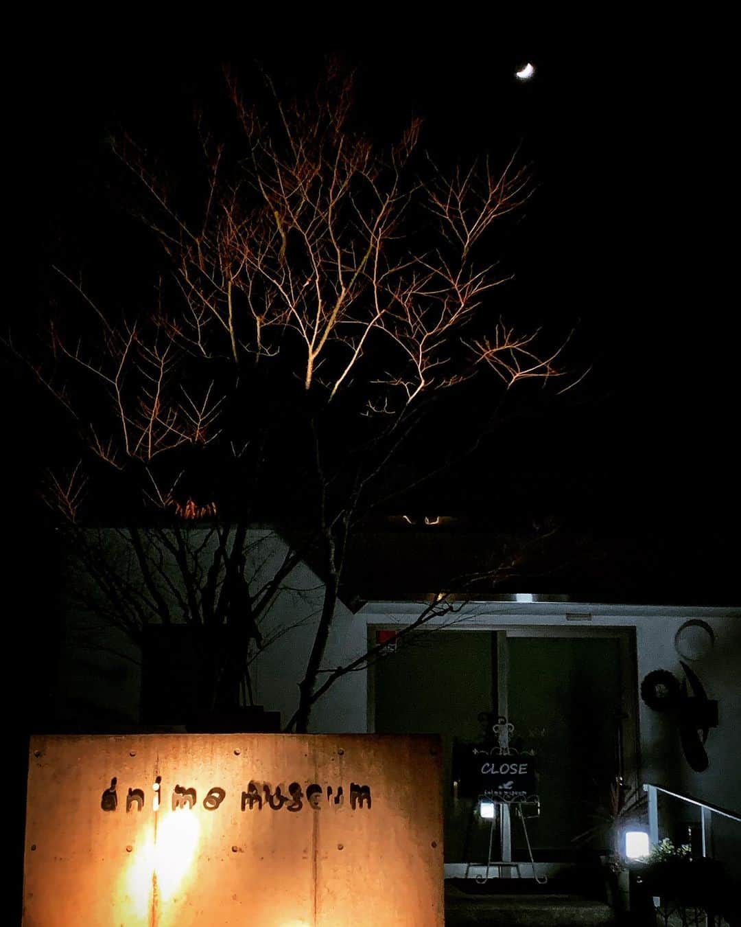 有森裕子さんのインスタグラム写真 - (有森裕子Instagram)「Good Night☆」12月19日 23時04分 - arimori.yuko33