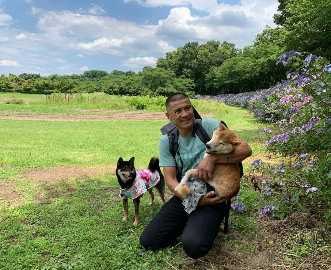 平山ユージさんのインスタグラム写真 - (平山ユージInstagram)「May 2020 #chocolateandhijiki」12月19日 23時08分 - yuji_hirayama_stonerider