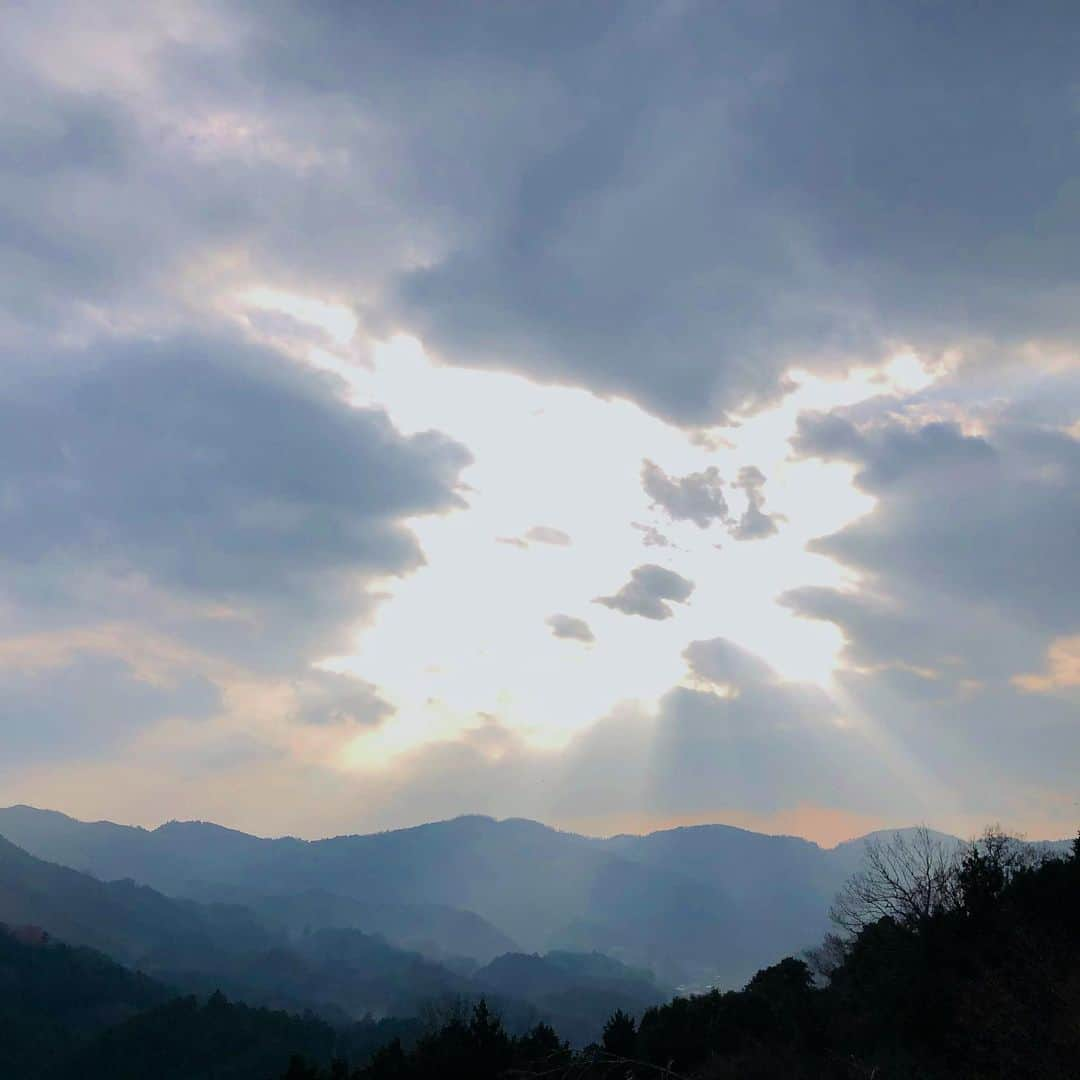 原田喧太さんのインスタグラム写真 - (原田喧太Instagram)「岡山サムハラ神社奥の宮 光の柱なんとも神秘的だった。 また行かなければなりませんな。 #岡山  #津山市  #サムハラ神社」12月19日 23時16分 - kenta.harada