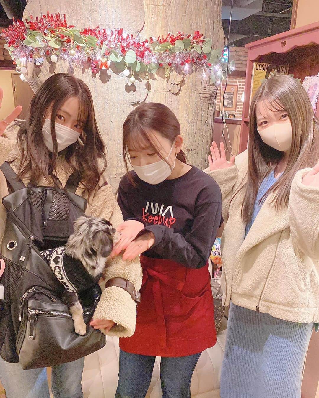 内田眞由美のグルメインスタ