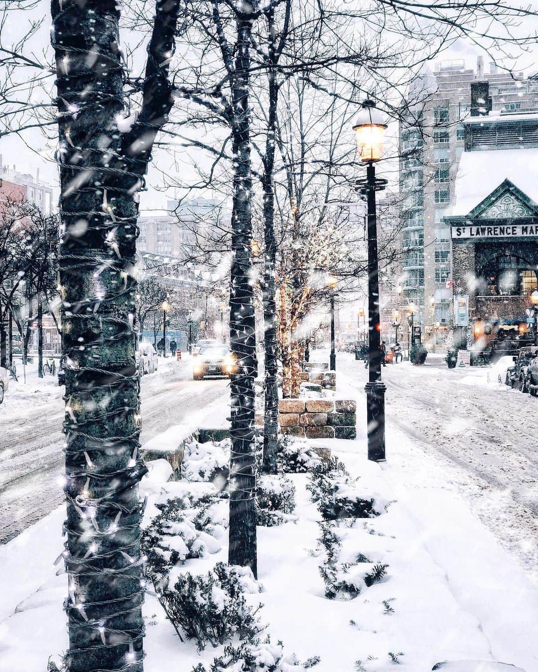 kaelのインスタグラム：「I'll be yours in winter, when the snow is on the ground. I'll warm you through December, and I'll always be around.」