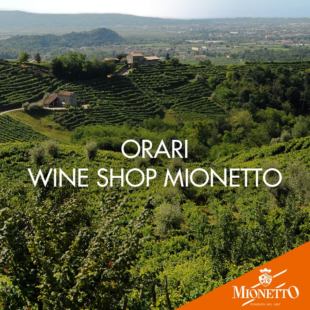 Mionetto Proseccoのインスタグラム：「Oggi, sabato 19 Dicembre, ti aspettiamo dalle 9:00 alle 18:00.⁣ Domani, domenica 20 Dicembre, dalle 10.00 alle 18.00.⁣ ⁣ Passa a trovarci nel nostro Wine Shop in via Colderove 2 a Valdobbiadene🍾🧡⁣ #mionettoprosecco #mionettoinsieme」