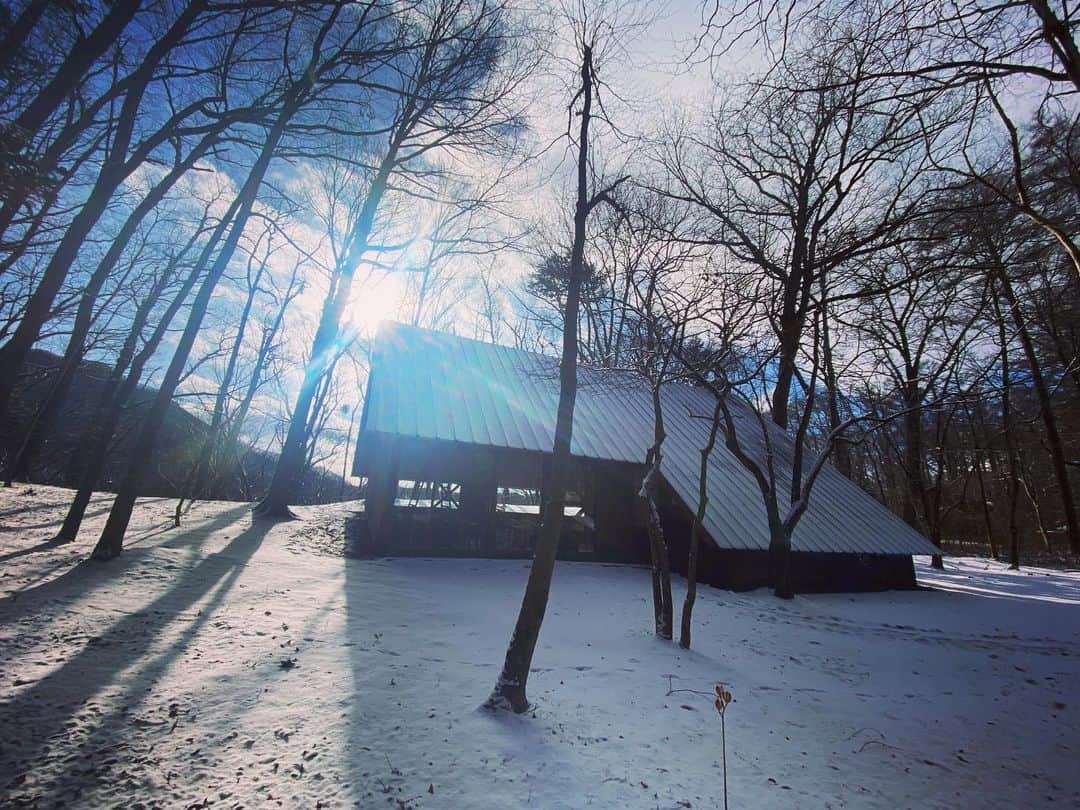 遠山正道さんのインスタグラム写真 - (遠山正道Instagram)「雪」12月19日 16時06分 - masatoyama