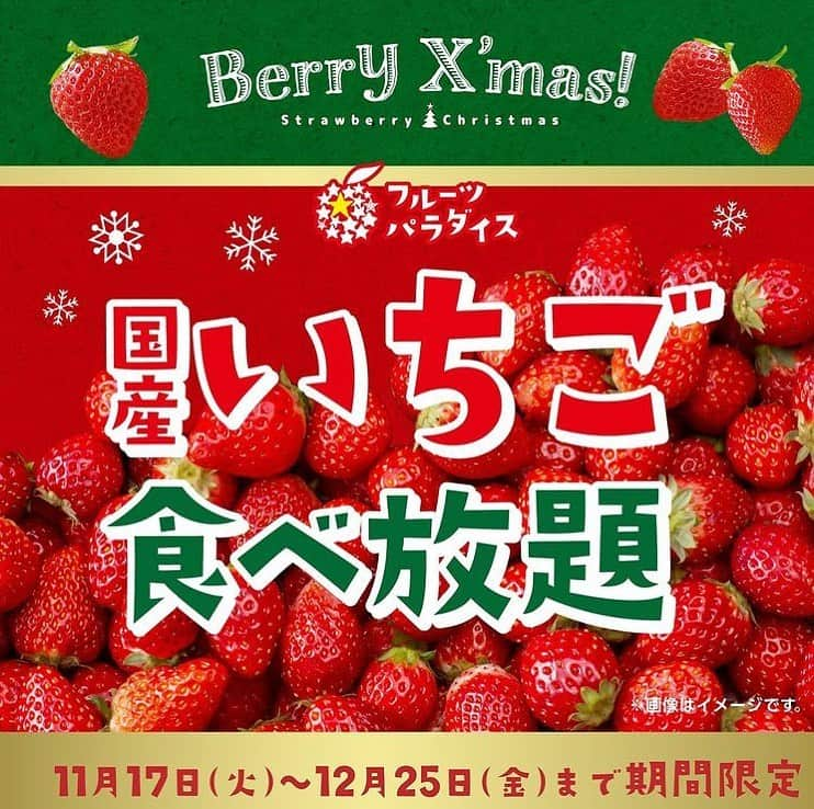 名古屋パルコさんのインスタグラム写真 - (名古屋パルコInstagram)「【西館8F スイーツパラダイス】Berry X’mas♪『国産いちご食べ放題』開催中🍓🎄﻿ ﻿ フルーツ食べ放題企画「フルーツパラダイス」の中でも1番の人気を誇る『いちご食べ放題』🍓﻿ 旬をむかえるいちごを思う存分にお楽しみいただけます。﻿ いちごをふんだんに使用した「スペシャルショートいちご」やこだわりの「いちご大福」など、いちごを使ったスイーツに加え、いちごと相性の良い生チョコも味わえます。﻿ ﻿ また、いちごだけでなく、この時期限定のフルーツもご用意しております。11月17日（火）からは「ラ・フランス」と「リンゴ（サンふじ）」をご提供いたします。この時期限定のフルーツ食べ放題企画をぜひお楽しみください。﻿ ﻿ 【期　　間】　2020年11月17日（火）から期間限定﻿ 【内　　容】　国産いちごの食べ放題　〔基本バイキング＋ドリンクバー＋ハーゲンダッツ・イルジェラート食べ放題付〕﻿ 【料　　金】　大人：2,500円／小人：1,800円（税込）﻿ ※12/21（月）～1/3（日）の期間は下記特別料金となります﻿ 大人：2,980円／小人：1,980円（税込）﻿ ※1グループ全員のご注文に限ります﻿ ※仕入れ状況により、予告なくその日の販売を中止させていただく場合がございます。﻿ ※産地は提供時期・店舗により異なる場合がございます。﻿ ﻿ ﻿ #スイパラ #スイーツ #ケーキ #食べ放題 #バイキング #スイーツ女子 #スイーツ男子 #スイーツ好き  #名古屋パルコ #栄カフェ #名古屋カフェ #矢場町カフェ#いちご #苺 #苺スイーツ #苺食べ放題 #イチゴ #クリスマス #christmas」12月19日 16時07分 - parco_nagoya_official