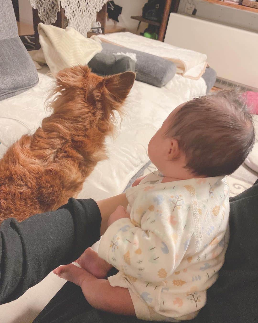 大石ほのかのインスタグラム：「今日で１ヶ月boy💙 日々の成長に驚き♡ いつも家族に笑顔をありがと😘  #likeforlike#❤️#いいね#followforfollowback#follow#me#baby#ベビスタグラム#赤ちゃん#男の子ママ#BabyBoy#love#赤ちゃんのいる生活#Instagood#かわいい#dog#犬#宝物#ベビー#家族#family#followｍe#follow4follow#f4f#pretty#cutedog#１ヶ月ベビー#男の子#ママスタグラム #ママ」