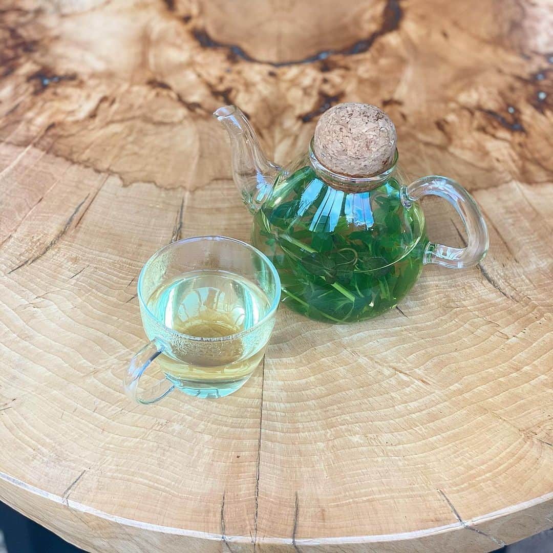 ririさんのインスタグラム写真 - (ririInstagram)「#teatime 🌱」12月19日 17時10分 - riri.ribon