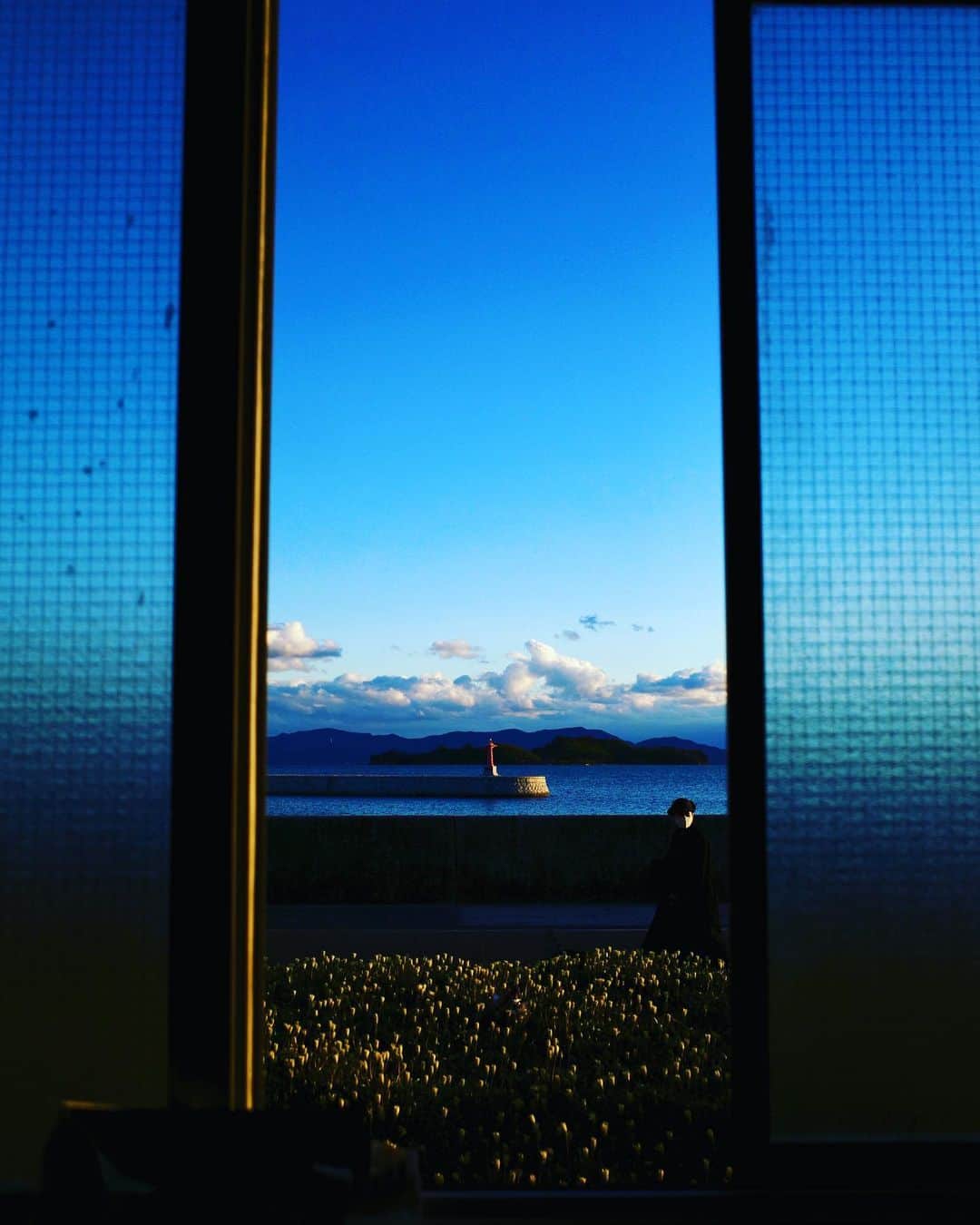 奇妙礼太郎さんのインスタグラム写真 - (奇妙礼太郎Instagram)「窓 #window  #grsnaps」12月19日 17時54分 - reitaro_strange
