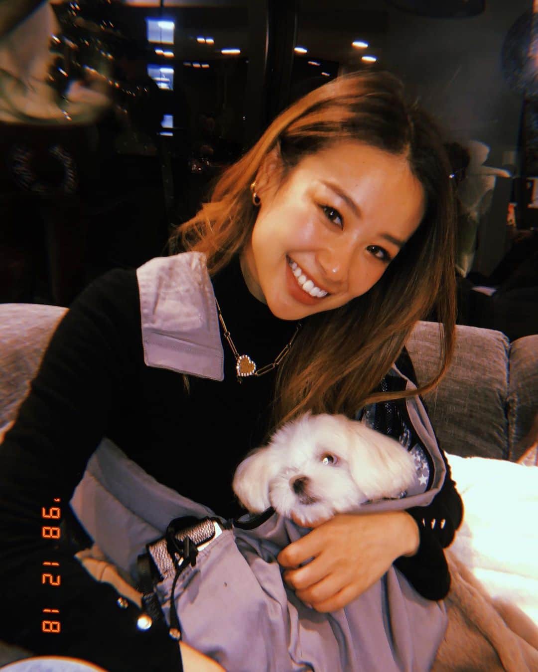 harunaさんのインスタグラム写真 - (harunaInstagram)「Princess Lani Chan🐶👑💗」12月19日 18時01分 - haruna_h_mori
