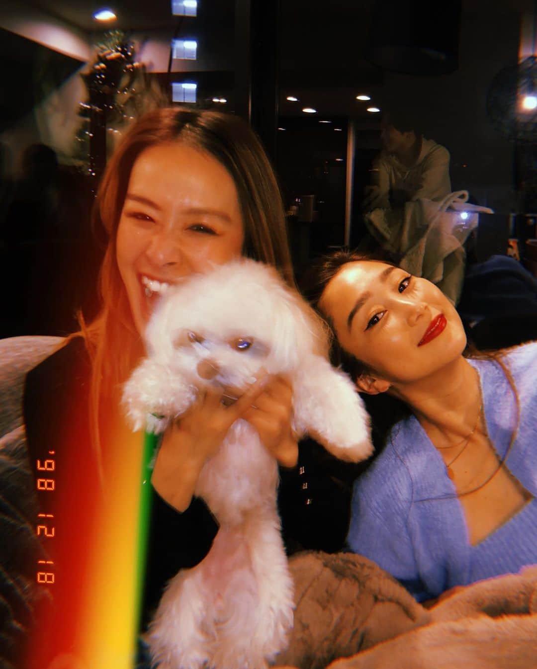 harunaさんのインスタグラム写真 - (harunaInstagram)「Princess Lani Chan🐶👑💗」12月19日 18時01分 - haruna_h_mori