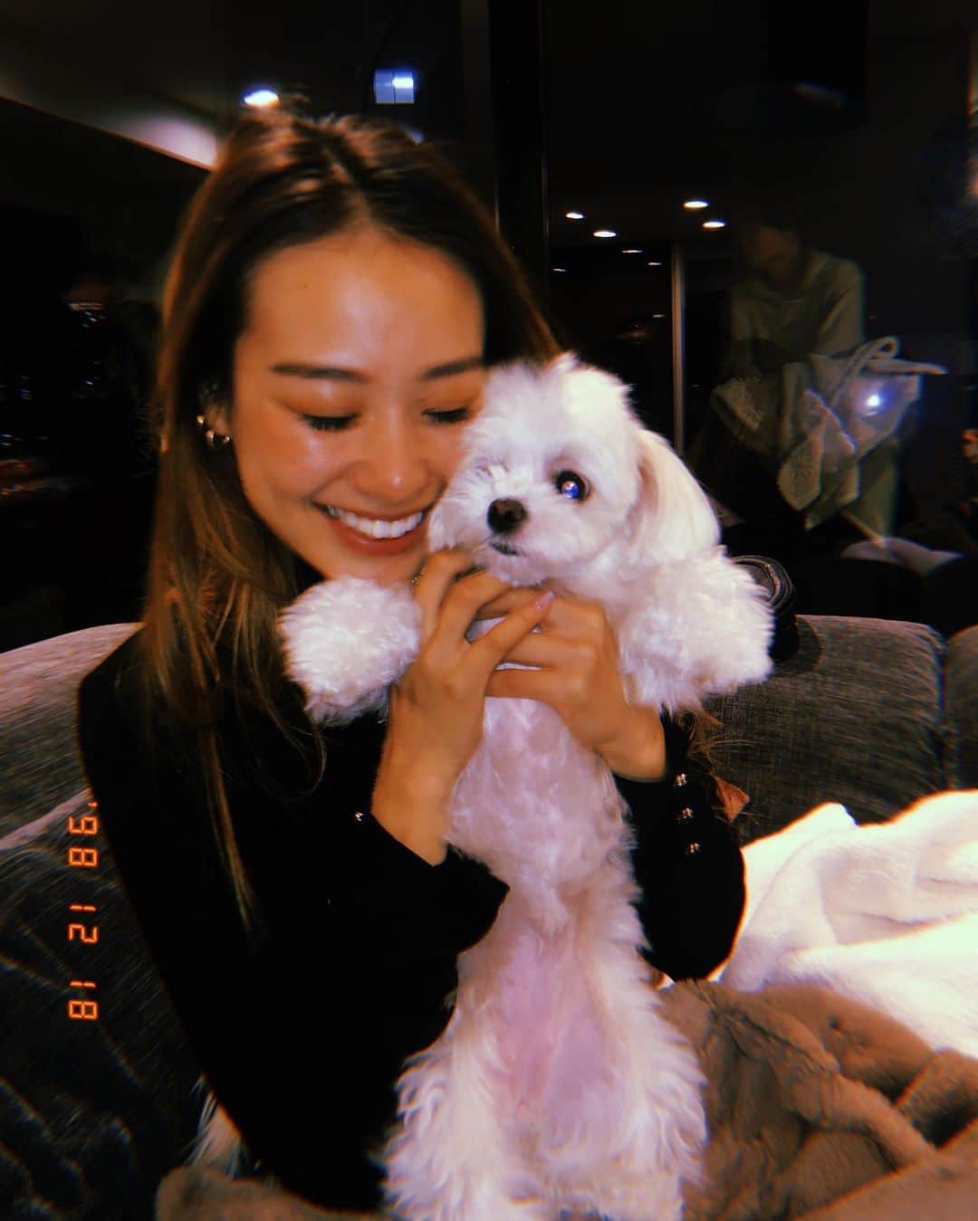 harunaさんのインスタグラム写真 - (harunaInstagram)「Princess Lani Chan🐶👑💗」12月19日 18時01分 - haruna_h_mori