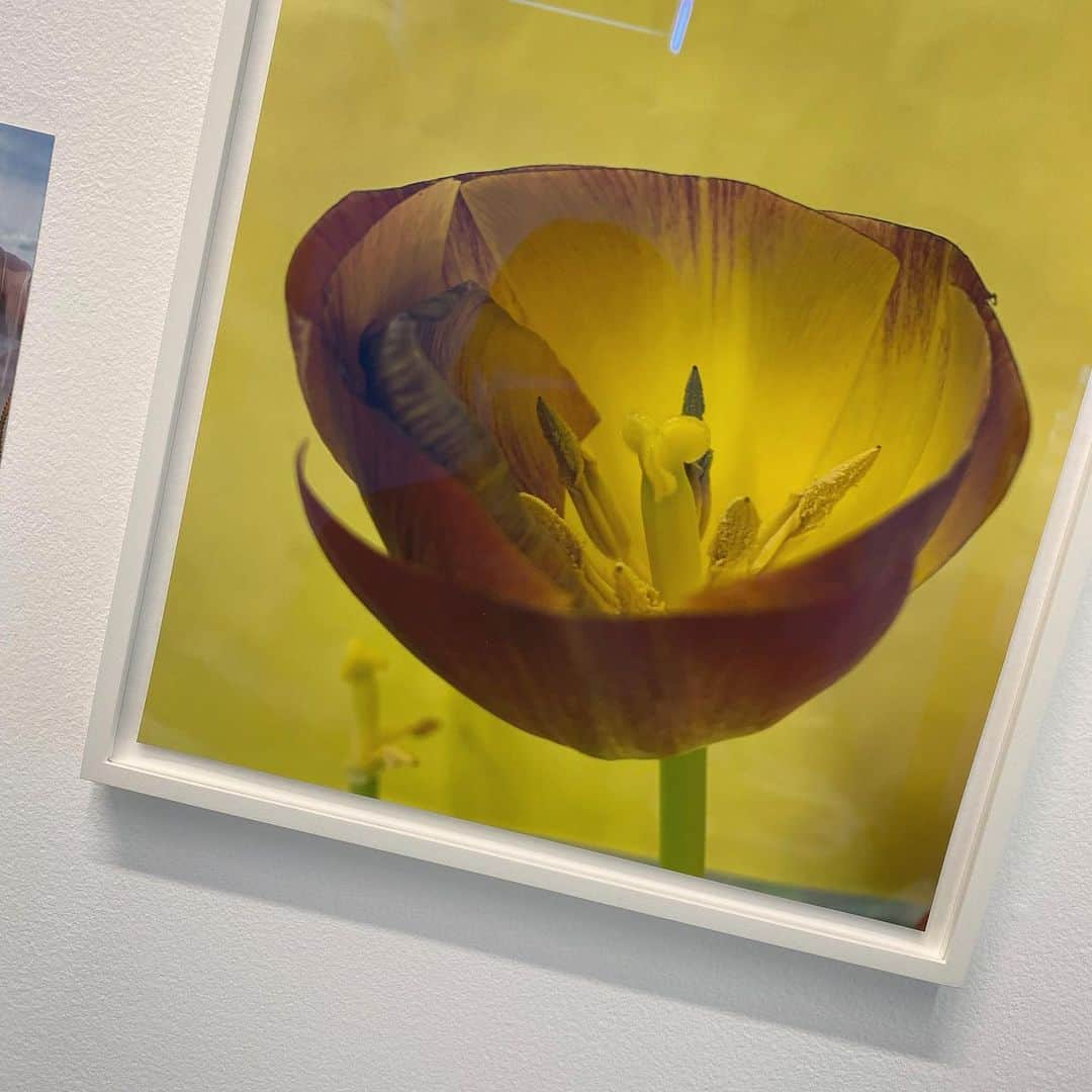 のインスタグラム：「#wolfgangtillmans」