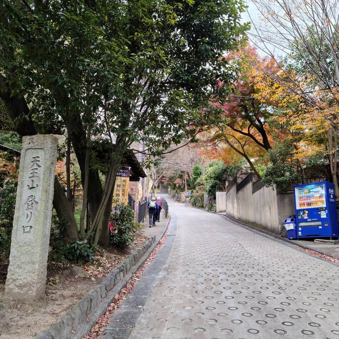 松本康太さんのインスタグラム写真 - (松本康太Instagram)「『出世石』京都駅から電車で15分！地元のパワースポット(山崎の天王山の合戦の折、秀吉がこの石に腰を下ろして采配を振るったことから「出世石」と呼ばれている石)！を里山ウオーキング♪これで良いことあるある探険隊(^o^)/  JR山崎駅➡️妙喜庵(千利休の茶室)➡️天王山登り口(地獄坂)➡️宝積寺(秀吉出世石と秀吉が一夜で建てたと伝えられている「一夜の塔」)➡️天王山山頂➡️小倉神社➡️阪急西山天王山駅。約1時間45分のめちゃくちゃ歩きやすい初心者コース♪  #京都#大山崎#天王山#天王山の戦い#豊臣秀吉#出世石#妙喜庵#千利休#茶室#山崎#宝積寺#一夜の搭#小倉神社#西山天王山#地元#レギュラー松本#あるある探険隊#ウォーキング#トレッキング#登山#乙訓#パワースポット」12月19日 18時26分 - aruarutankentai.matsumoto