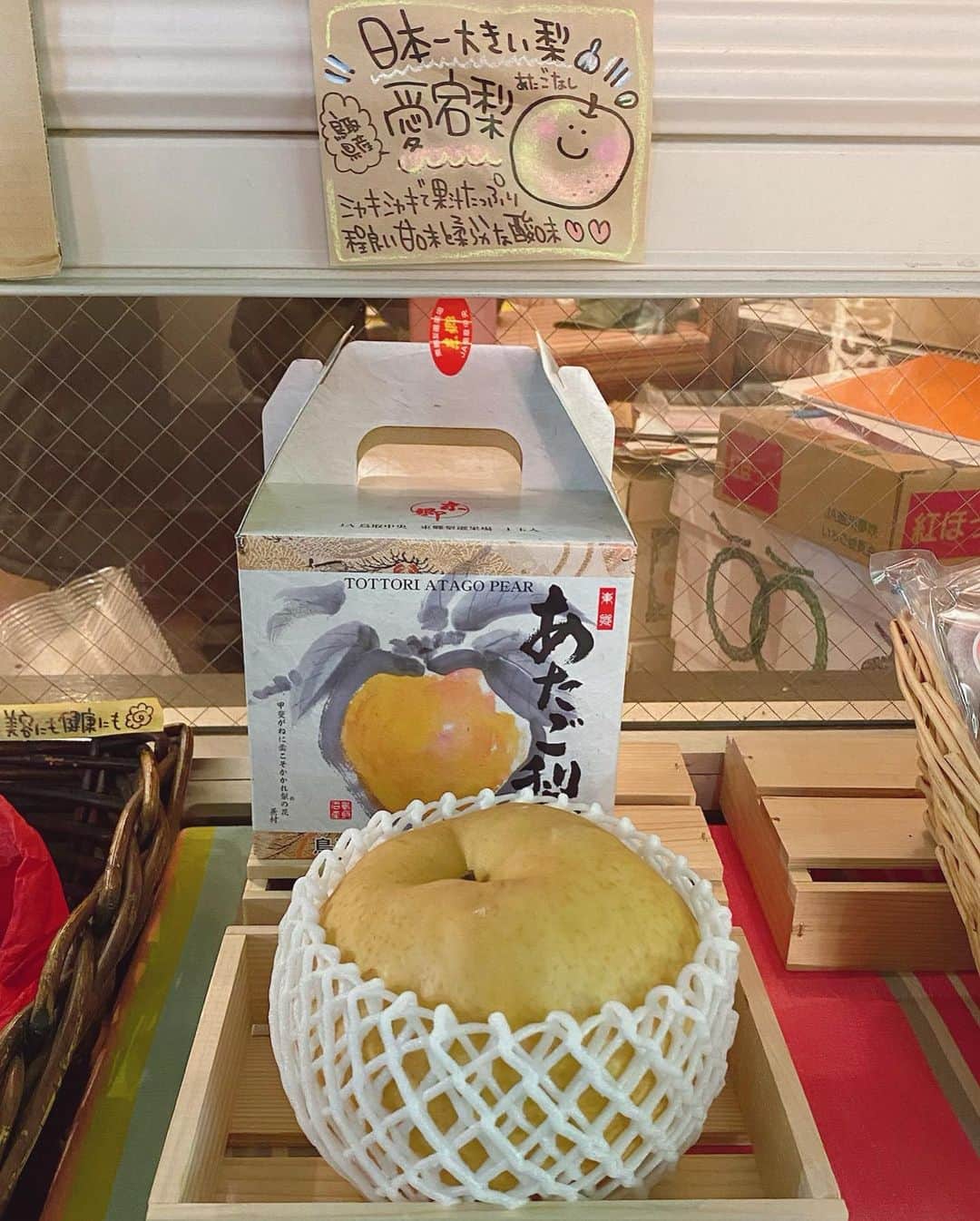 桃乃木かなさんのインスタグラム写真 - (桃乃木かなInstagram)「「HACHIKU」さん  大粒紅ほっぺ🍓糖度15%以上のはるか🍏 日本一大きい梨🍐 他にもお芋やみかん、今年最後の柿、、、  クリスマスプレゼント価格過ぎたので沢山買っちゃいました🤤  #hachiku #池袋 #フルーツ販売」12月19日 18時56分 - kana_momonogi