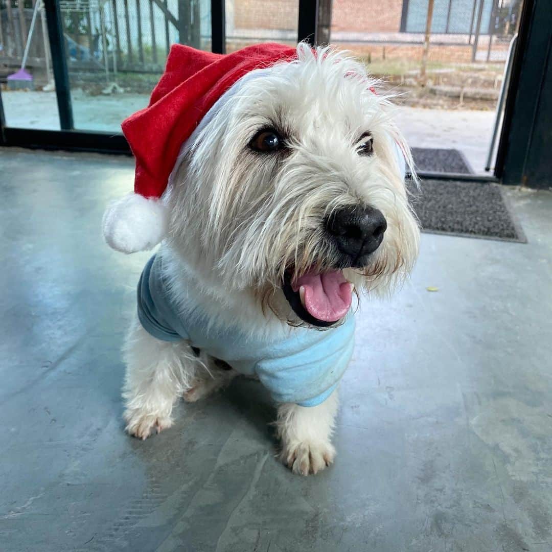 Hoykong&Plamuekのインスタグラム：「Thank you for a santa hat ❤️ @pindiamond @naam_cj」