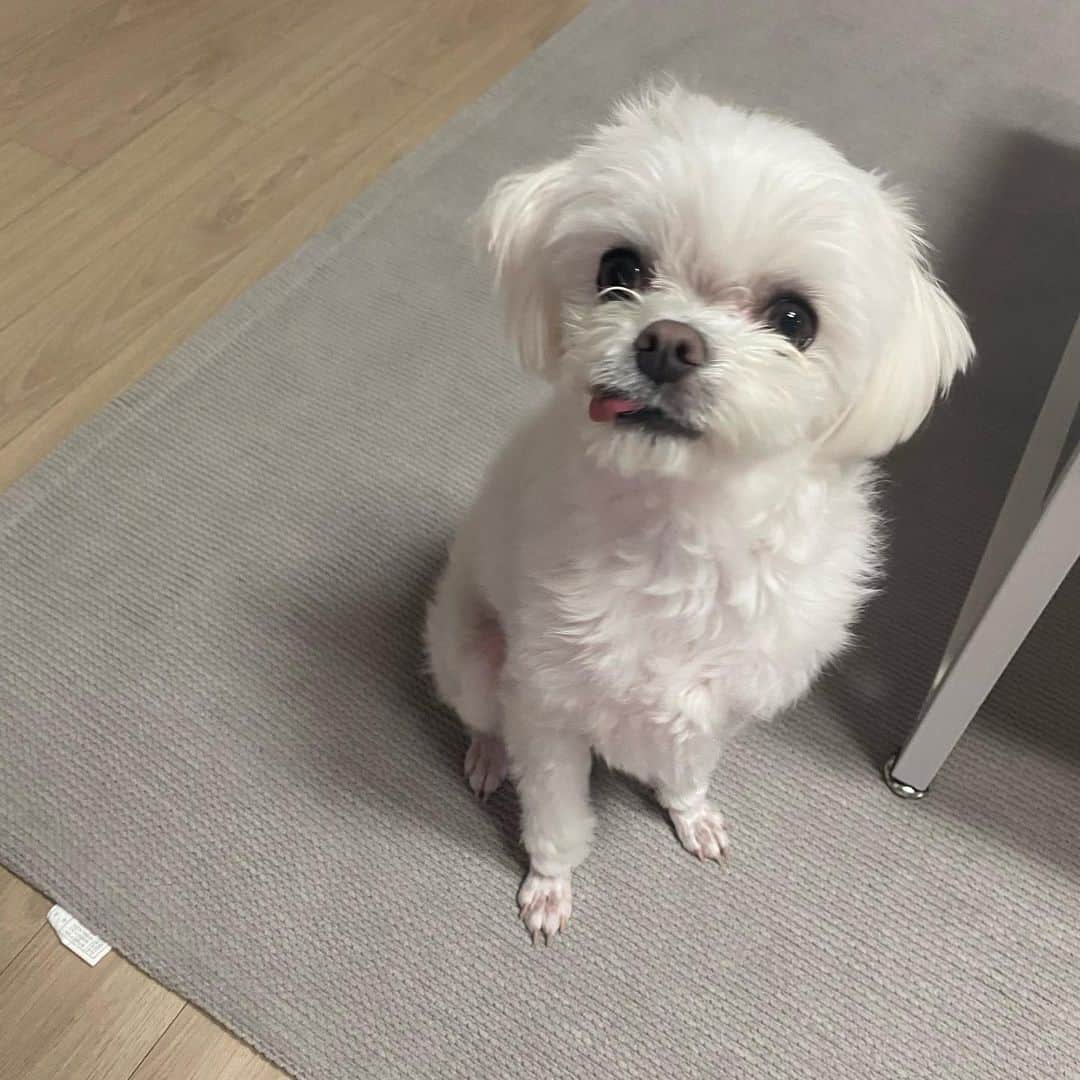 JU-NE（ク・ジュンフェ）のインスタグラム：「너는 심쿵 나만의 땅콩맨」