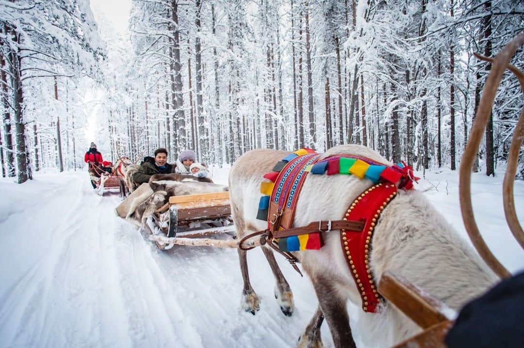 チェルシー・オリビアのインスタグラム：「Rudolph the red nosed reindeer... take us far away from here! Hope Covid-19 outbreak will end soon...」