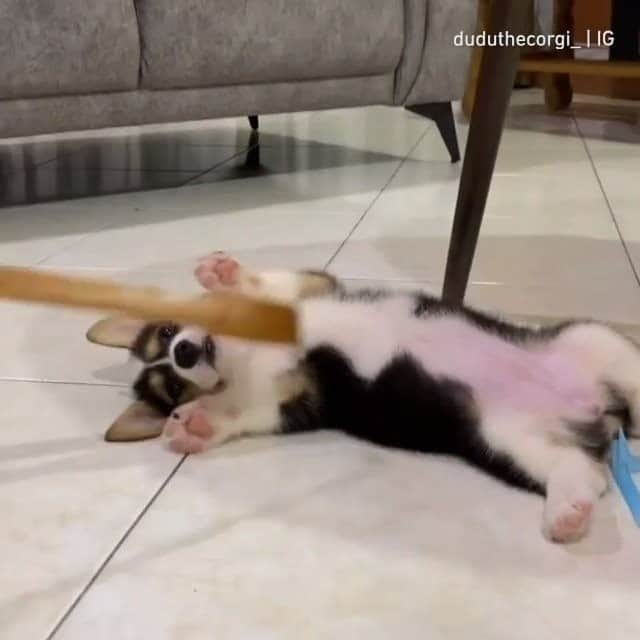 8crapのインスタグラム