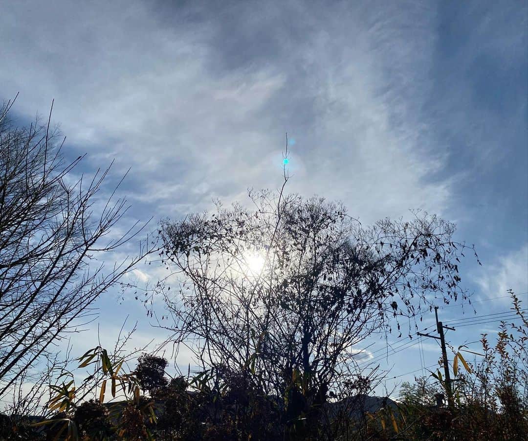青山有紀さんのインスタグラム写真 - (青山有紀Instagram)「山の家へ。 空がきれいだなぁ✨」12月19日 19時44分 - yukiaoya