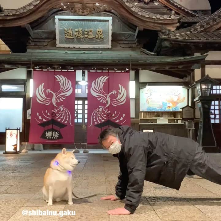 Kazumi-Gakumamaのグルメインスタ