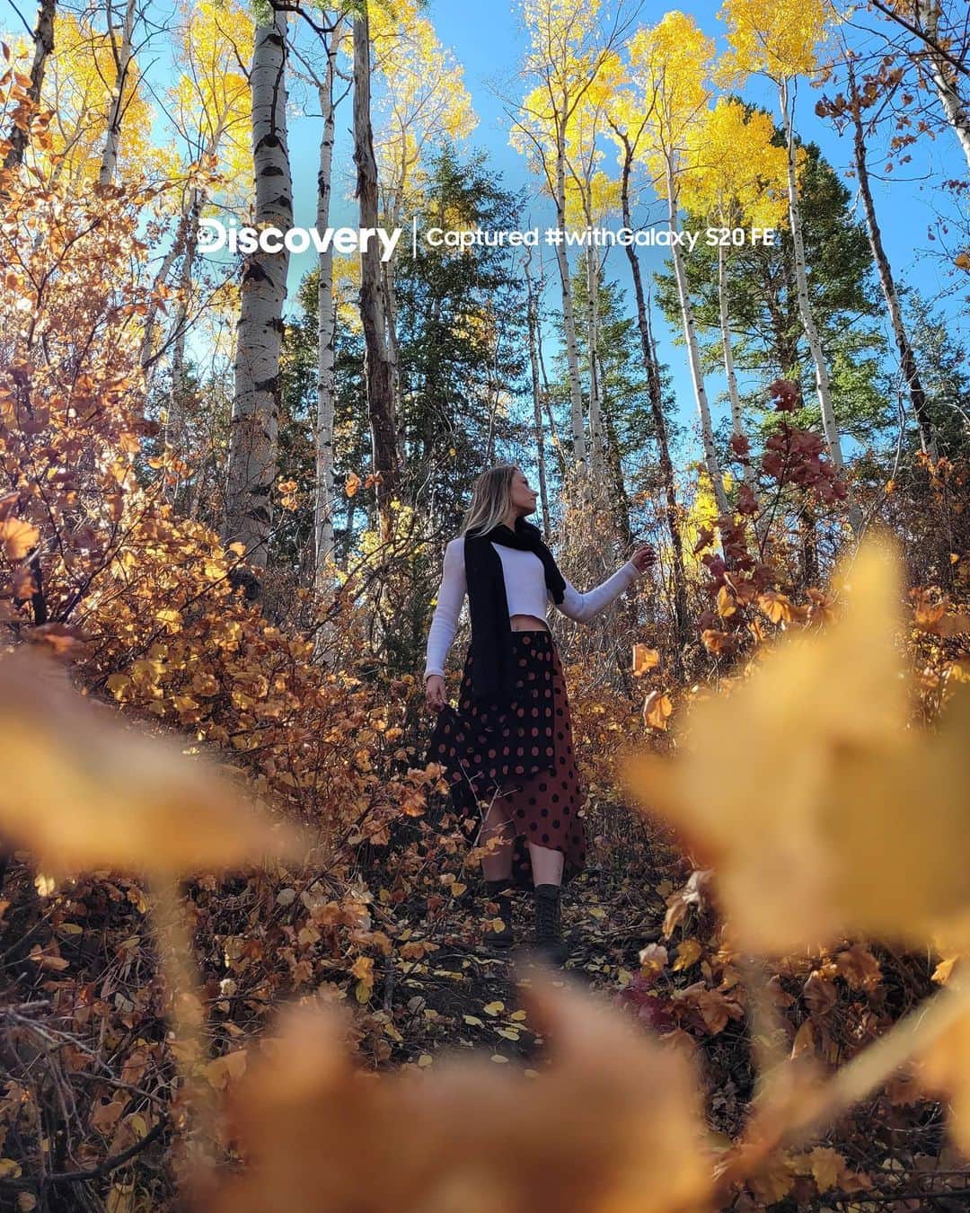 Samsung Mobileのインスタグラム：「From majestic portraits to stunning landscapes, the versatile camera on the #GalaxyS20FE does it all.  📷 by: @mblockk」