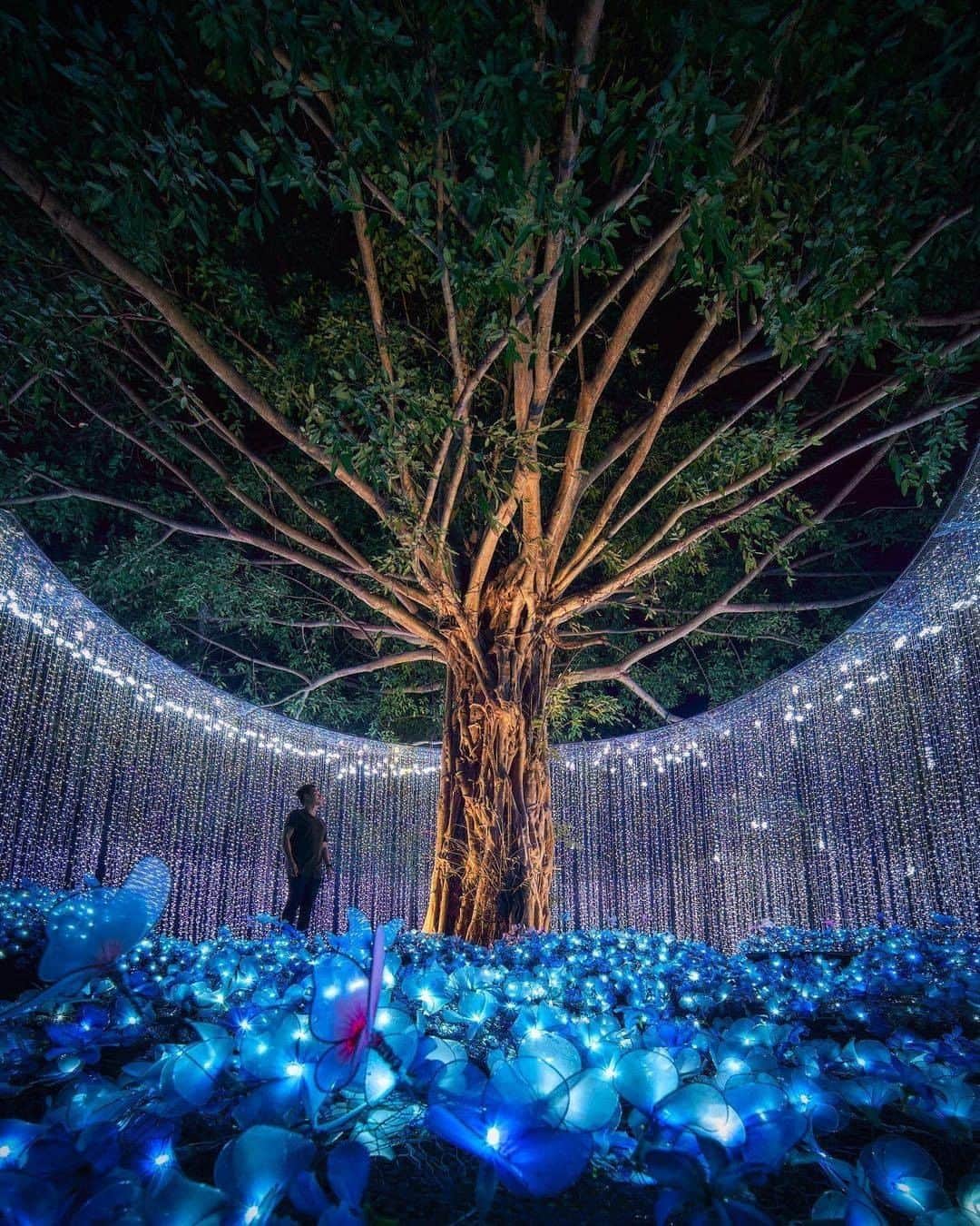 Discover Earthさんのインスタグラム写真 - (Discover EarthInstagram)「Open for the 3rd consecutive year, NaSatta Illumination Festival is the first and biggest full-scale illumination festival in Thailand. This December 2020, they had wonderous lights, harmonious music and scrumptious delicacies within the 16 acres park. Who'd like to go see those enchanting lights?  #discoverthailand🇹🇭 with @blowithand  . . . . .  #thailand  #bangkok ​#bk  #thai  #thailand_allshots  #amazingthailand ​#thaistagram ​#sb  #asia ​#krab  #thaishop ​#adayinthailand ​#ratchaburi ​  #temple  #ig_thailandia ​#bangkokspirit  #loves_siam  #thaifood ​#insta_thailan ​#bangkoklife」12月19日 20時00分 - discoverearth