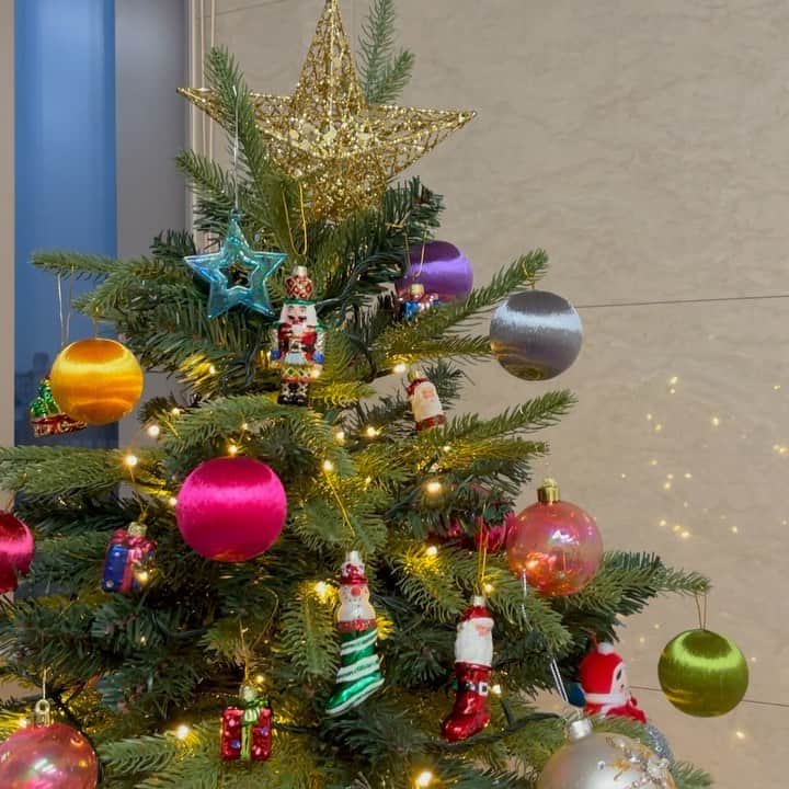 のインスタグラム：「크리스마스 트리 같이 꾸미고 소소한 홈파티 같이 할 사람☃️🎄❤️ 프로필 링크 눌러서 보러오세오😍 사투리 주의 ㅎㅎㅎㅎㅎ   クリスマスツリー飾ってホームパーティーしながらクリスマス一緒に過ごしましょう! プロフィールリンクをクリックして見に来てください。🎅🧑‍🎄🤶」