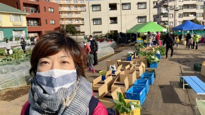 小谷あゆみのインスタグラム：「#JA世田谷目黒 #桜上水体験農園 収穫体験イベントでーす」
