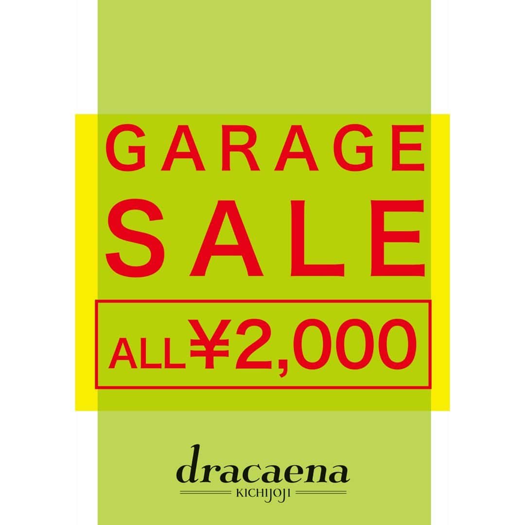 dracaenaのインスタグラム