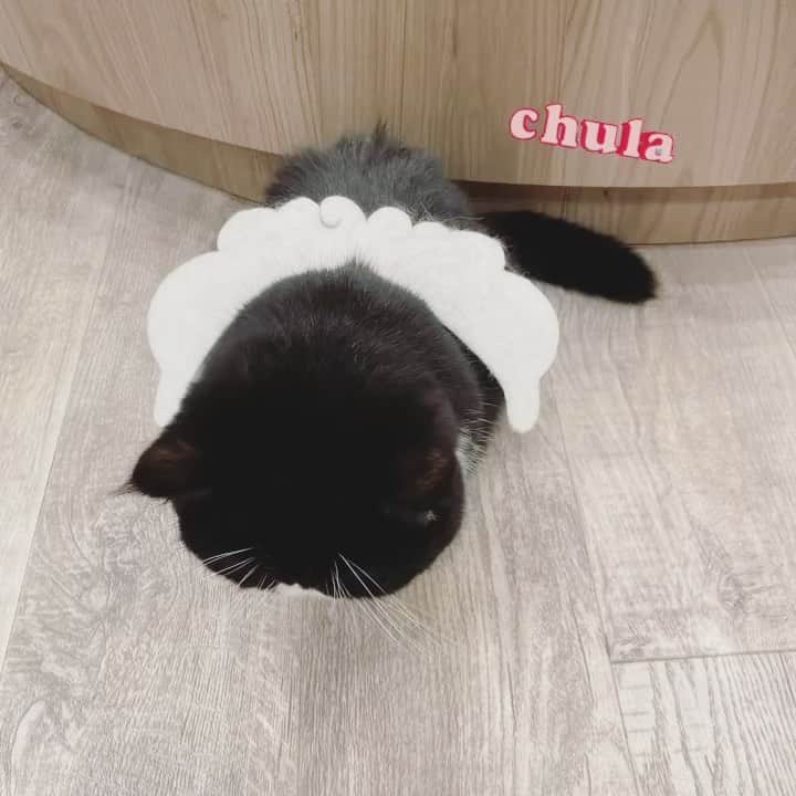 よねいはるかのグルメインスタ