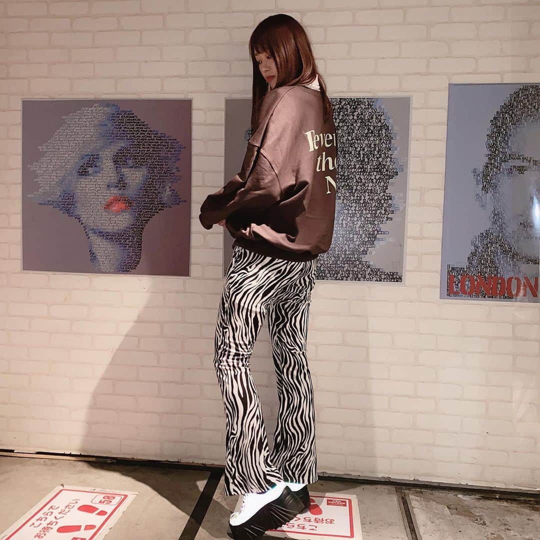 のインスタグラム：「🦓」