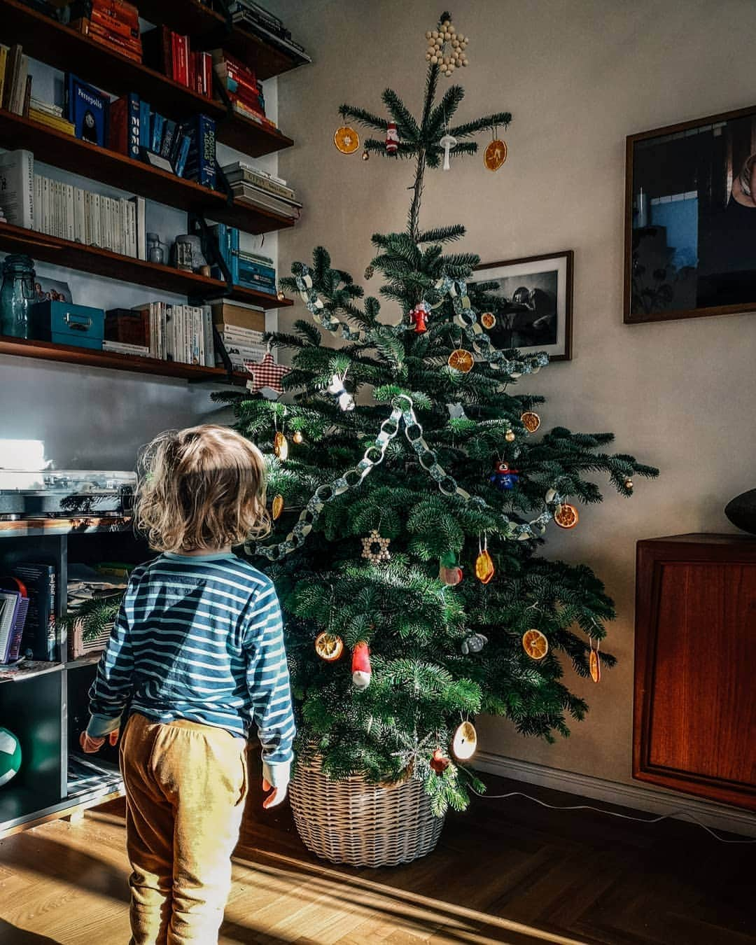 pinimariniのインスタグラム：「Er steht! Ein bisschen krumm, aber ach so liebenswürdig ist unser Baum, den wir dieses Jahr gemietet haben. Beim Schmuck haben wir improvisiert, weil wir gar nicht wirklich etwas da haben. Und nun hängen neben den gefilzten Figuren ein paar selbstgemachte Sterne aus Holzkugeln, getrocknete Orangenscheiben und eine einfache Girlande aus Papier, die ich mit meiner Tochter gebastelt habe (oder naja, mit ihr angefangen und dann später alleine fertig gemacht). Für mich ist er perfekt ❤️🎄 .  #Weihnachten2020 #Weihnachtenimlockdown #alltagmitkind #alltagmitbaby #Elternzeit #familienalltag #geborgenwachsen #Weihnachtsbaum #nachhaltigweihnachten #weihnachtsbaumschmuck」