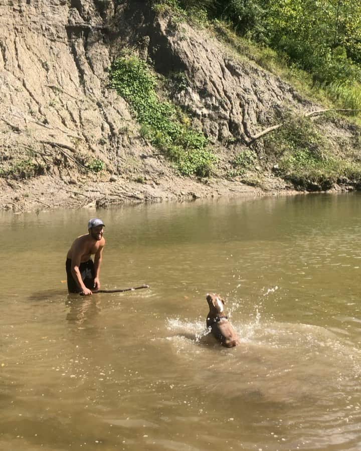 DogsOf Instagramのインスタグラム：「“First time swimming went well, I love walking in water!” — writes @ilovearchie   #dogsofinstagram」