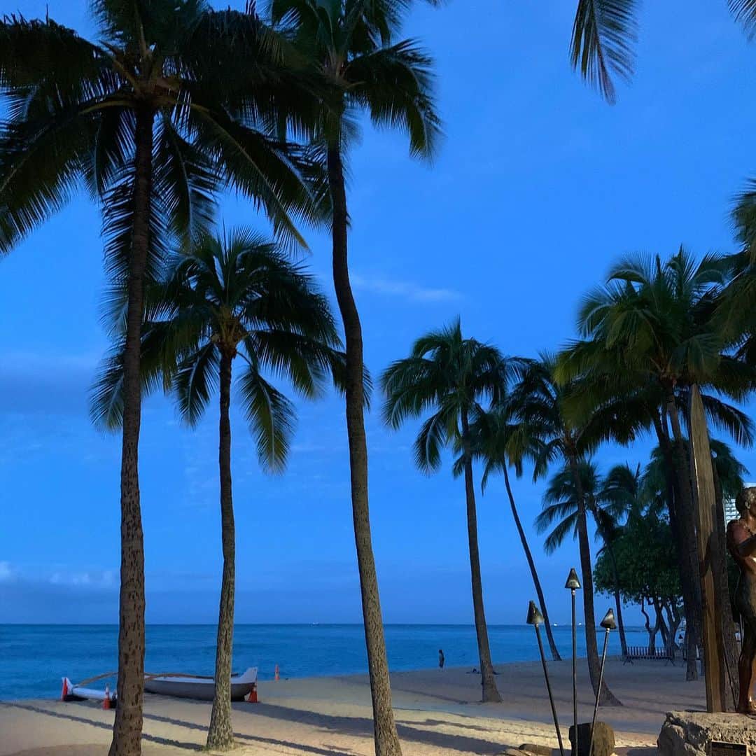 飯島寛子さんのインスタグラム写真 - (飯島寛子Instagram)「Good morning from Waikiki. Beautiful morning blue sky!! #bluesky #朝活 #ワイキキ　#ハワイ暮らし ＃椰子の木　#ウォーキング」12月16日 3時06分 - hirokoiijima