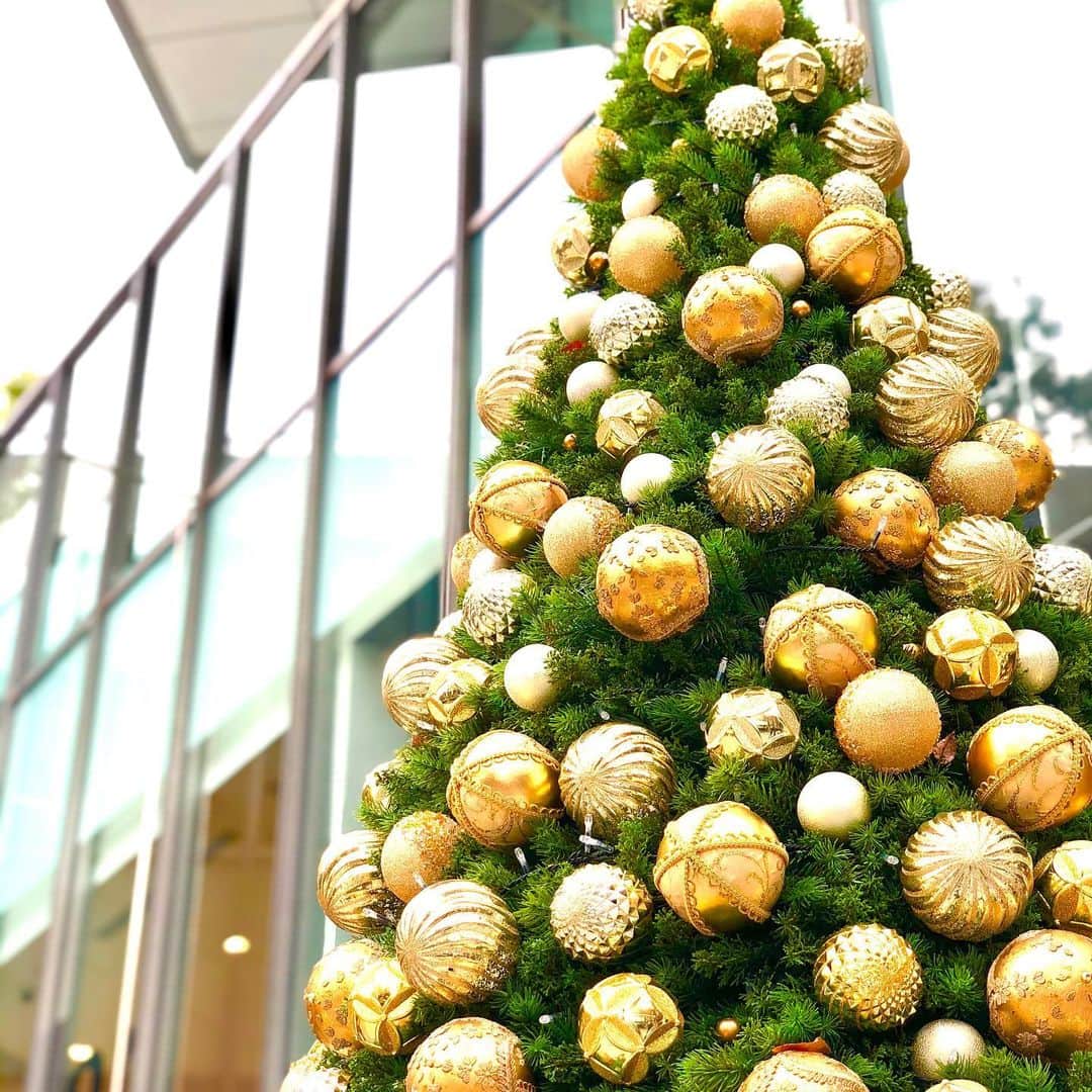 のインスタグラム：「Christmas tree at Omotesando hills. 表参道ヒルズのクリスマスツリー #christmastree  #表参道ヒルズ」