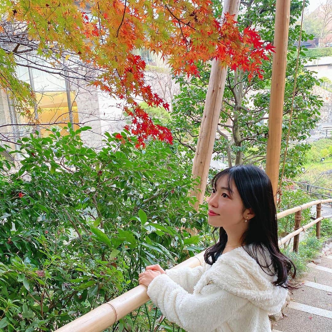 桜雪さんのインスタグラム写真 - (桜雪Instagram)「紅葉その2  ちなみに着ているアウターは大学生の頃にファンの方からプレゼントしてもらったやつです。 気に入ってずっと着てます。  ワンピースはsnidel 一目惚れして自分へのプレゼントで最近買いました。  #secrethoney #白アウター #もこもこアウター #snidel #ブルーグレー #ブルーワンピース」12月15日 18時04分 - yuki_12hsm