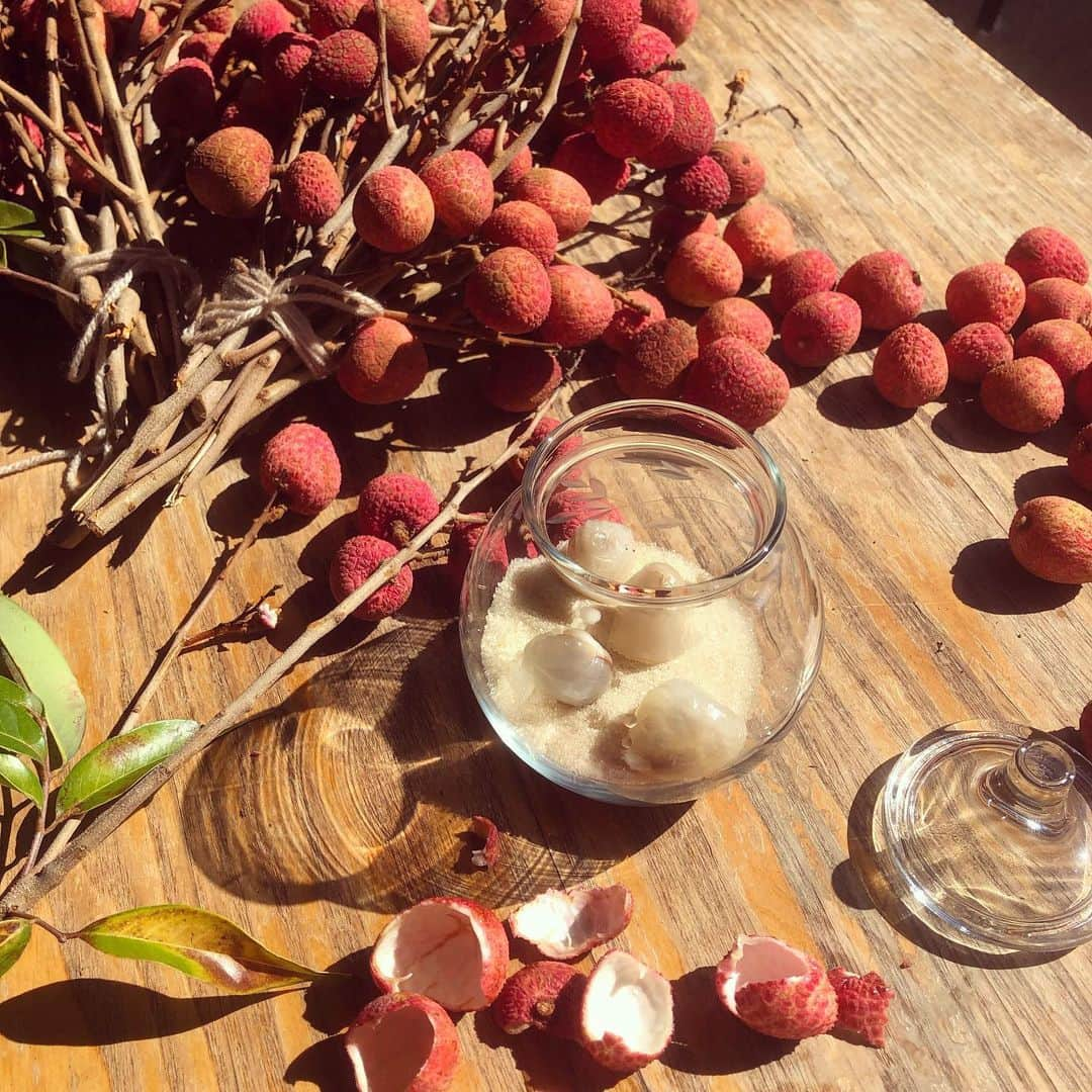 広瀬ななのインスタグラム：「Homemade Lychee Syrup🦩 ・ 大きく育たなくて、 売り物にならない小粒ライチ達 砂糖につけてライチシロップにしてみました💕 農家の方もすごく喜んでくれて たくさんまたライチをくれました🤣 ・ #ライチ #生ライチ #果物 #農業 #farmwork #vanlife #lychee #homemadesyrup #organicsugar #fruit」