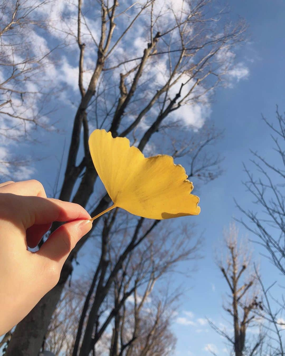 平塚日菜のインスタグラム：「.  .  .  冬の晴れ間はいいですね〜☺︎  寒いけど！☃」