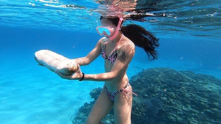 LuCyCoのインスタグラム：「触るとフランスパンみたいに硬くなる見た目もフランスパンな🥖なまこちゃん  (フランスパンを持って走るフランス人、てな図をやりたかったwww)  ✨✨✨✨✨✨✨✨✨ 来年あたたかくなったら 大好きな阿嘉島で リトリートやりたいなと思ってるのです✨  【リトリート（Retreat）とは、数日間住み慣れた土地を離れて、仕事や人間関係で疲れた心や体を癒す過ごし方のこと。観光が目的の旅行とは違い、日常を忘れてリフレッシュすることを目的とする。】  〜5人くらいで 🧘サンライズヨガ 👙シュノーケル/スキンダイビング 🐠無人島でランチ 🌺フラワーエッセンスセッション 🐚拾った貝殻で小物作り 🌌ビーチで天の川をみる  とかとか！  自然の中でみんなで遊んで癒されてほしい。。💕  参加したい人、、 いるかな😇  #慶良間ブルー  #海が好き  #シュノーケル #スキンダイビング #海の生き物 #阿嘉島  #リトリート #ヨガ #海ヨガ  🎥@marineoceanaka」