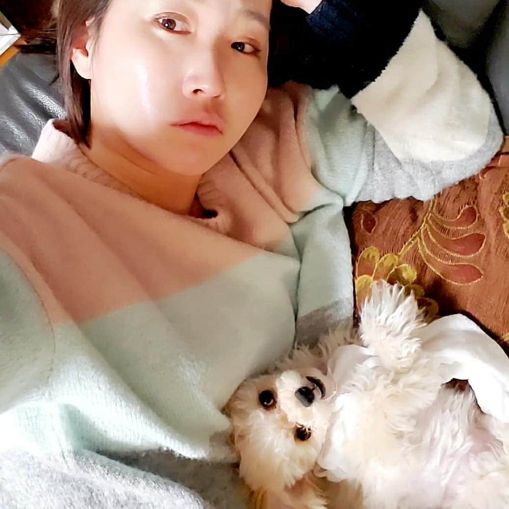 のインスタグラム：「年に一度の義務である「狂犬病予防接種」。 注射をした当日から翌日は甘えん坊モードです。 私は明日も明後日も県議会や審議会目白押しなので、夜帰宅後のこの時間が癒やしです。 顔はもうテカテカです。 #チワプー #犬のいる暮らし #犬バカ部 #ミックス犬 #ミックス犬同好会 #犬好きな人と繋がりたい #dogstagram #dog #doglover #愛犬との暮らし #愛犬 #相棒 #ハーフ犬mix犬 #ハーフ犬 #いぬのいる暮らし #いぬすきさんと繋がりたい🐶 #いぬ部 #チワプー同好会 #チワプー女の子 #チワプー友の会 #chihuahua #toypoodle #chihuapoo #狂犬病予防接種」