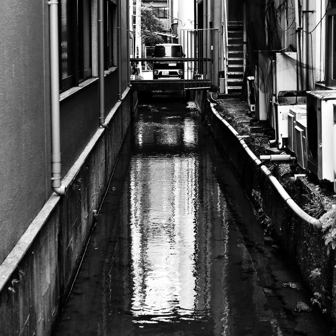 naotakeのインスタグラム：「目かくし - A blindfold / D810 & Snapseed, 20201216 . . 昼食は職場近所のエスニックでガッパオ。辛味で痺れた口中をラッシーで漱ぐ。 . . #spicollective #royalsnappingartists #infamous_family #rsa_main #infinity_photo_cult #2_fineart #jp_gallery_member #jp_gallery_bnw #trb_bnw #wp_bnw  #bnw_life #bnwlife_member #bnw_life_shots #bnw_captures #world_bnw #top_bnw #team_jp_ #team_jp_モノクロ #ig_energy_bw #ig_nihon #streetphotographybnw #igersjp #blackandwhite #bnw #bnwphoto #monochrome #bw #bnwphotography #nikon #D810」