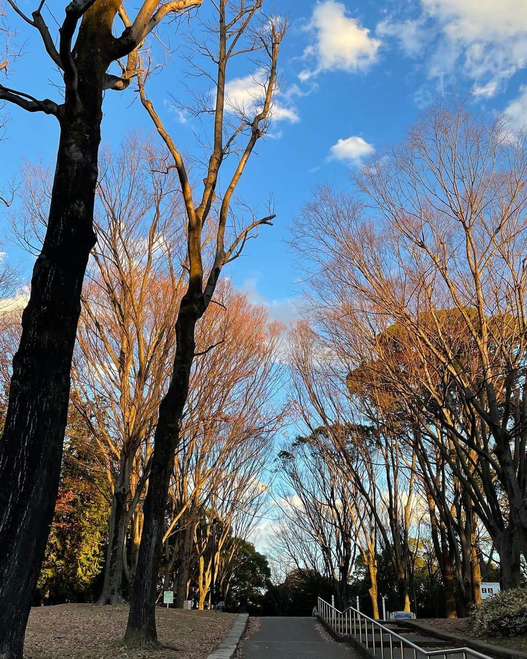 ichigoさんのインスタグラム写真 - (ichigoInstagram)「冬のお散歩〜☻」12月15日 18時57分 - ichiringo