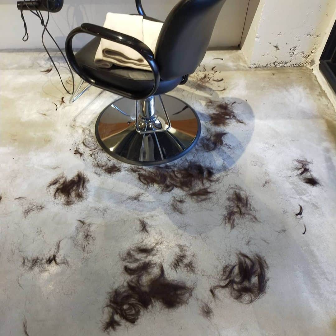 石井寛子さんのインスタグラム写真 - (石井寛子Instagram)「2020年ヘアチェンジ✁  マスク生活で メイクもどうせ取れるし、軽くでいいや〜 すっぴんでもごまかせるし楽〜  と思って過ごしてたけど いい加減マスクの自分の顔に飽てきた…👼  ので、ばっさりショートに。  これまで極力髪型でごまかしてた フェイス&ネックライン いっそのこと全部見せちゃいました。  こんな顔だったんだ〜と 恥ずかしながらも 新鮮な自分の顔🧏  潔い髪型に似合うよう 姿勢よく、過ごしたいな〜。  @arai__michio　さん いつも素敵なスタイリングと 心地よい時間をありがとうございます🎵  kankan 渋谷区元代々木町10-8 関ビル2F  美容院前には 新宿御苑で、冬の澄んだ空気を味わって😌  時間があれば季節の移ろいに 身を任せたい派。  #ショートヘア  #代々木八幡  #美容院」12月15日 18時52分 - ishiihiroko